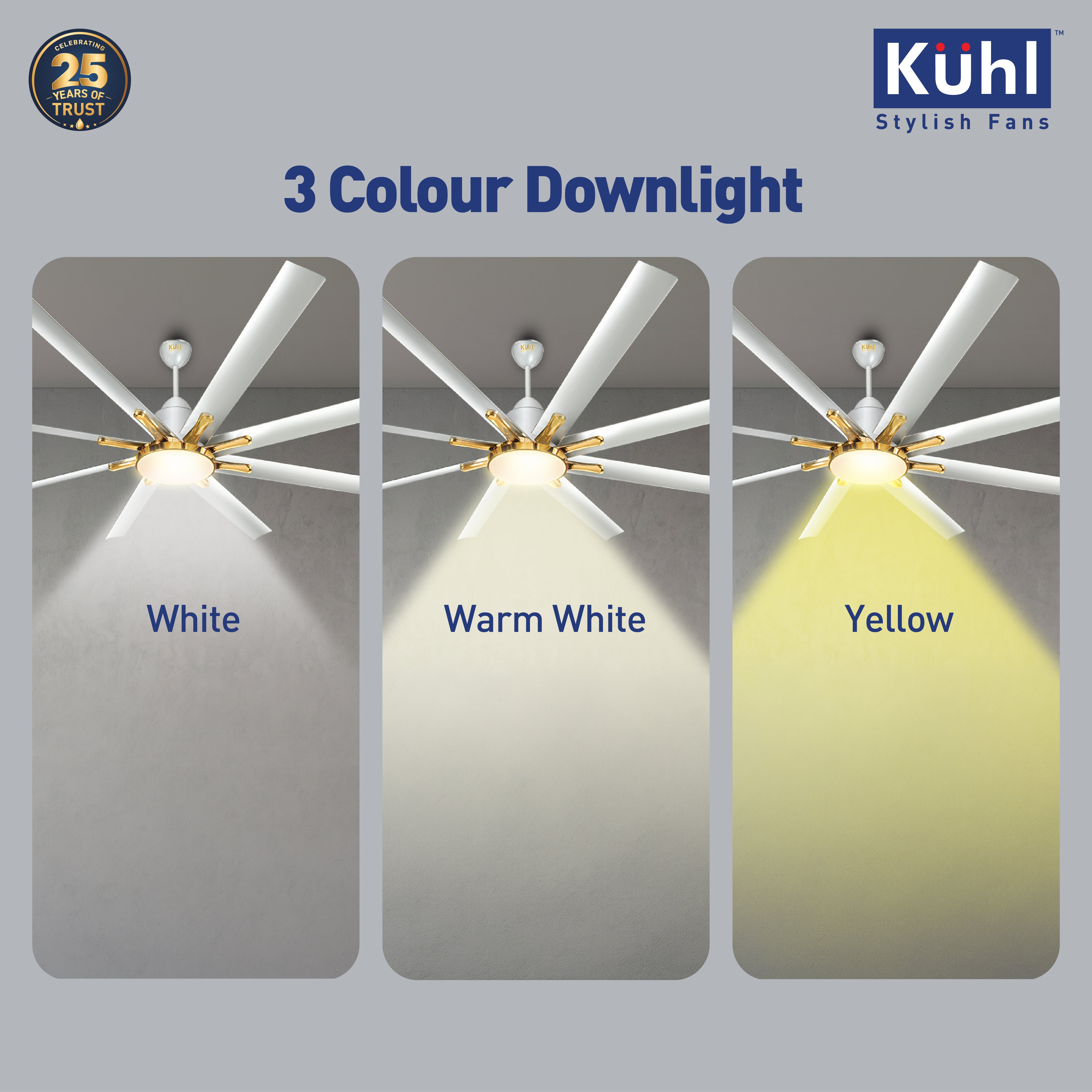 color_silver